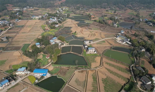 四川江油：以高標準農(nóng)田建設(shè)築牢天府糧倉「耕」基