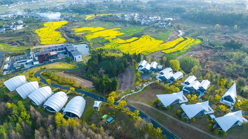 皖黟縣：康養(yǎng)沃土 書香關麓