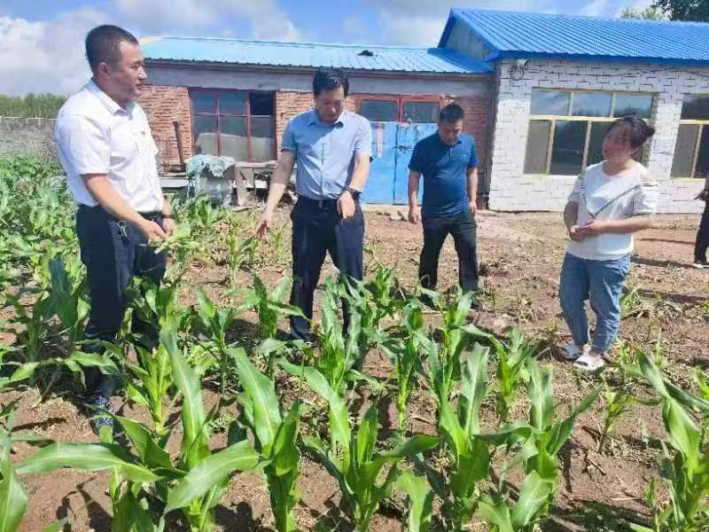 黑龍江龍江縣「菜園綠·黨建紅」活動(dòng)全面啟動(dòng)