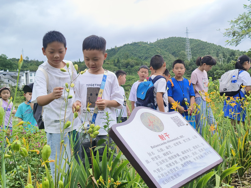 皖祁門縣：「御醫(yī)之鄉(xiāng)」 興研學(xué)