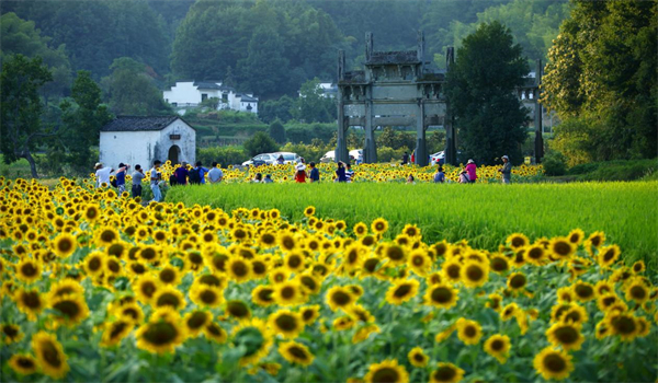 皖徽州區(qū)：「雙輪驅(qū)動」打造全域旅遊「徽州模式」