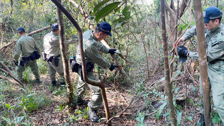 將軍澳山坡匪徒標(biāo)記路線 警方呼籲市民提防爆竊