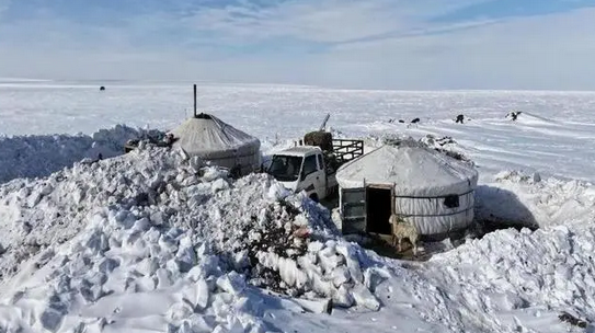 蒙古國遭受近50年不遇雪災(zāi) 