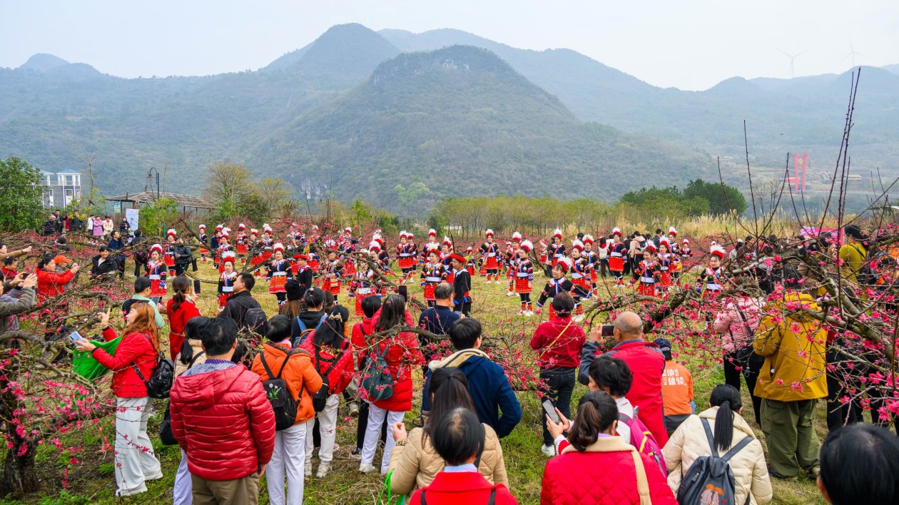 邀您共賞春日花海  2024連州桃花節(jié)盛大開(kāi)幕