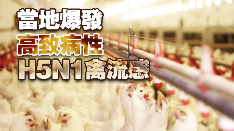 本港暫停進(jìn)口匈牙利貝凱什州禽肉及禽類產(chǎn)品