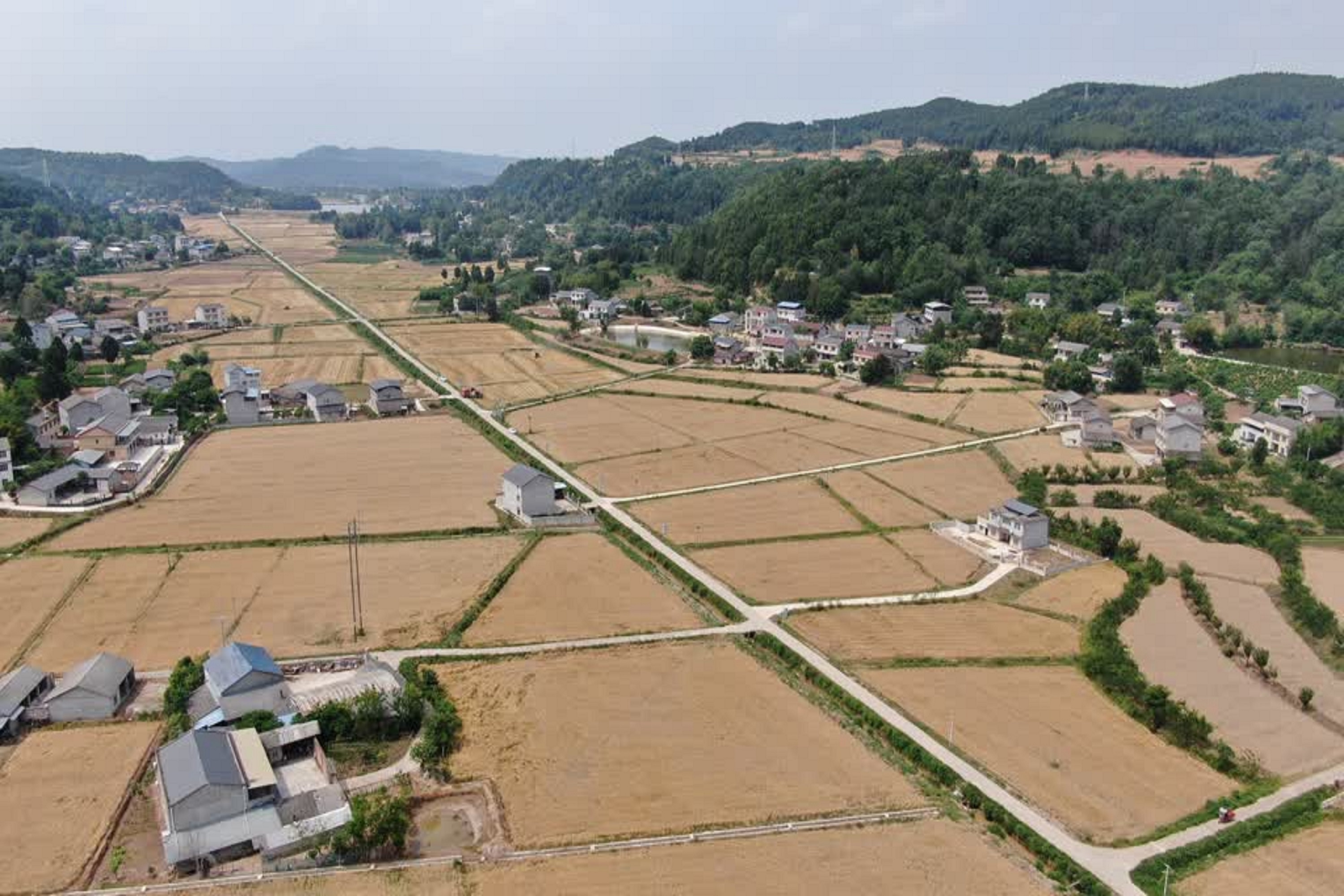 「管烘管存管賣」川綿陽遊仙烘乾基地護(hù)航糧食顆粒歸倉