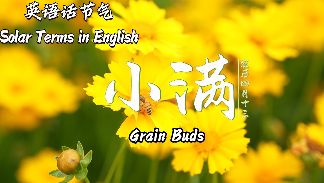 【視聽(tīng)山東】英語(yǔ)話(huà)節(jié)氣：小滿(mǎn)