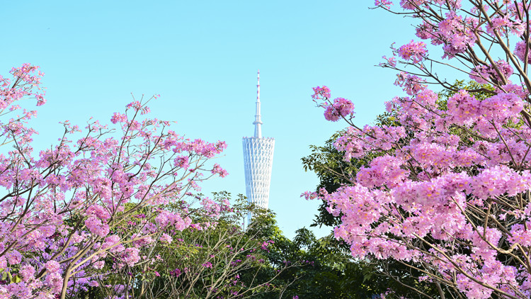 廣東高院首次發(fā)布海事審判典型案例