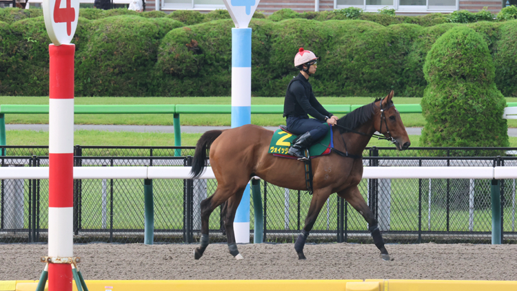 有片｜【東京直搫】遨遊氣泡浪漫勇士最後備戰(zhàn) 姚本輝變招出擊