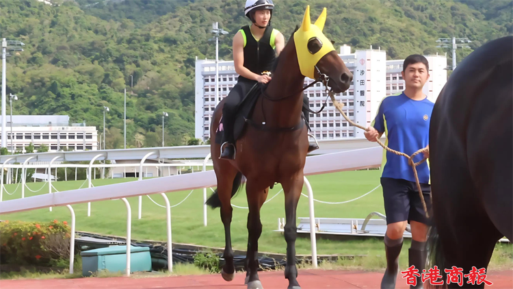 有片 | 黃寶妮操馬保持儀態(tài) 周日田戰(zhàn)廣受歡迎共策7駒