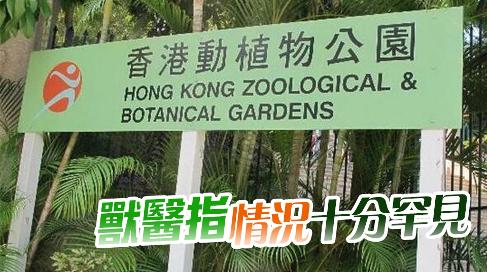 香港動(dòng)植物公園累計(jì)9隻猴子死亡 政府召開(kāi)跨部門(mén)會(huì)議應(yīng)對(duì)