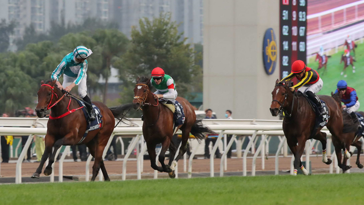 有片 | 浪漫勇士3奪香港盃創(chuàng)歷史 累積1.77億元破金鎗六十紀(jì)錄