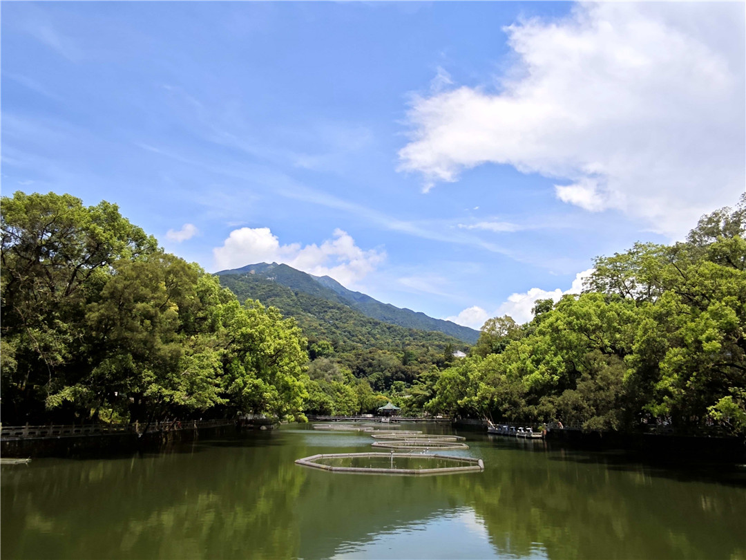 號外！羅浮山景區(qū)「文旅+非遺」，入選風(fēng)景名勝區(qū)文旅融合典型案例