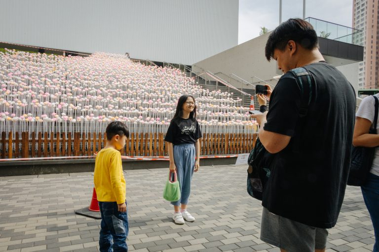 市民爭相與花海合照。