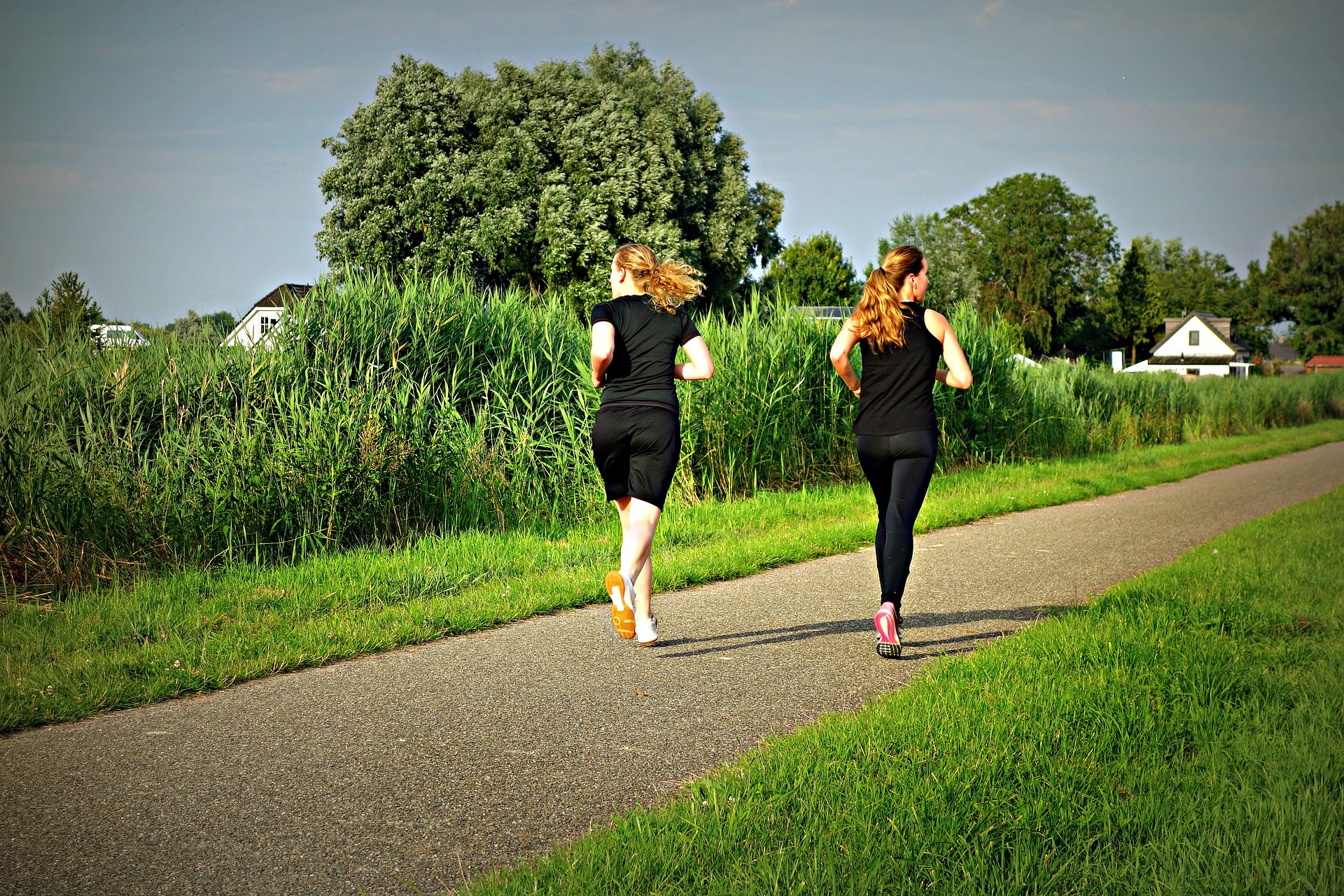 jogging-1509003_1920 (1).jpg